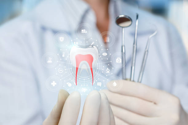 Best Dental Exams and Cleanings  in Midway, FL